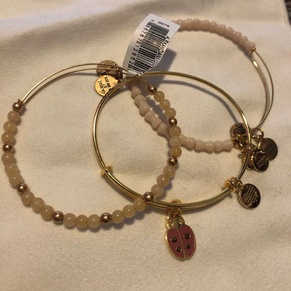 Alex and Ani Bracelet Stack (3) - Ladybug